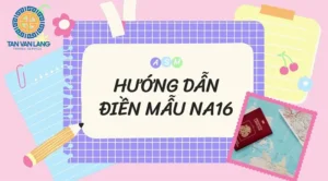 Hướng dẫn điền mẫu na16