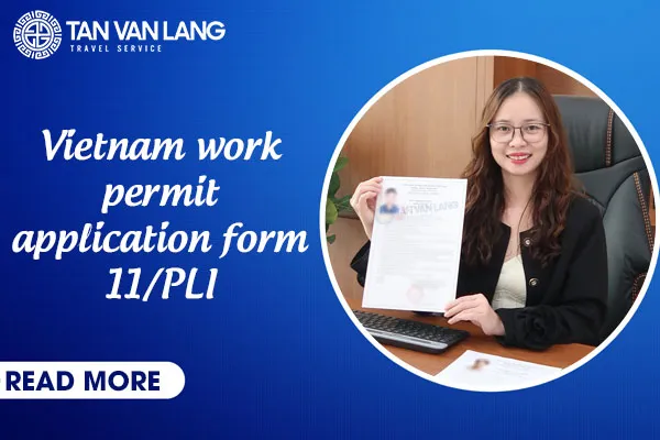 Vietnam work permit application form 11/PLI