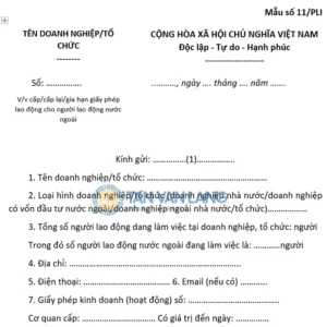 Mẫu số 11/PLI