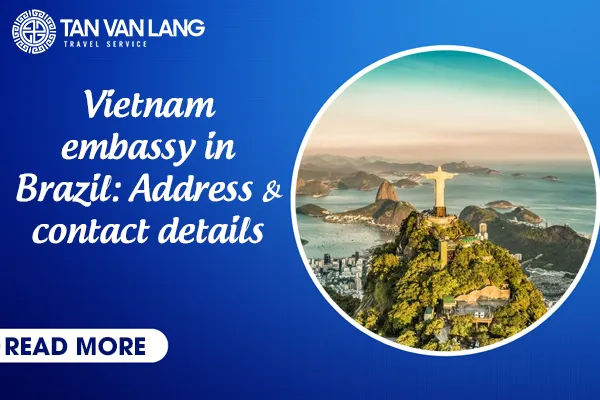 Vietnam embassy in Brazil: Address & contact details