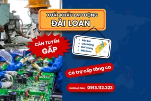 Đơn hàng xuất khẩu lao động Đài Loan