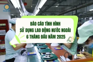 Chi tiết Báo cáo tình hình sử dụng lao động nước ngoài 6 tháng đầu năm 2025