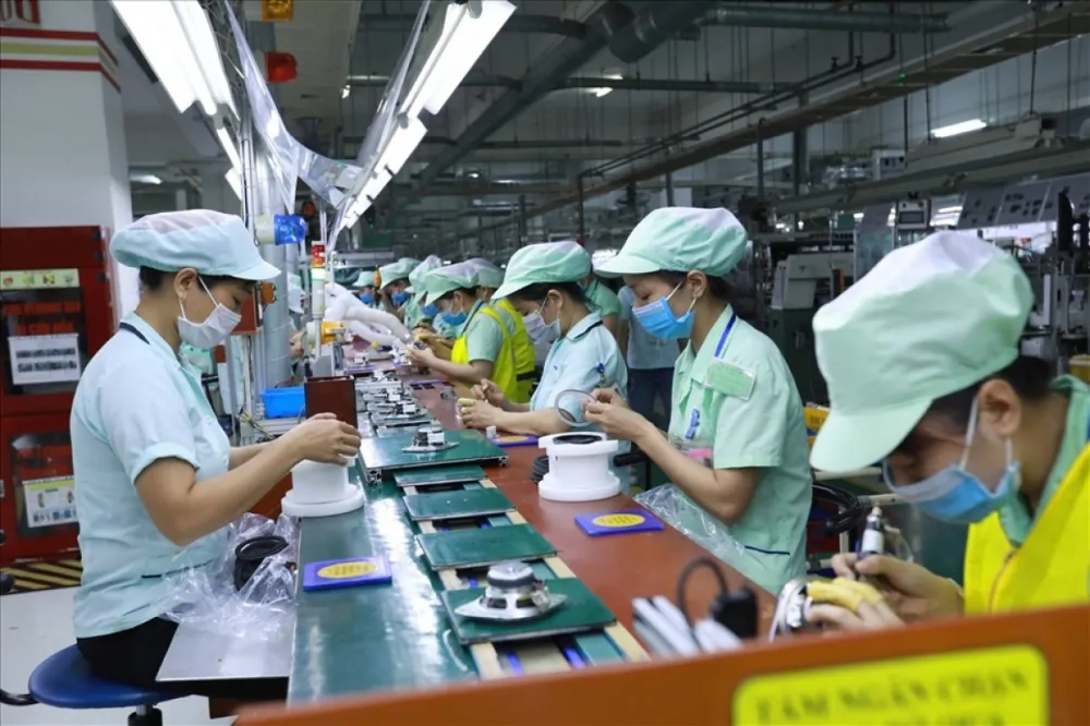 Chi tiết Báo cáo tình hình sử dụng lao động nước ngoài 6 tháng đầu năm 2025