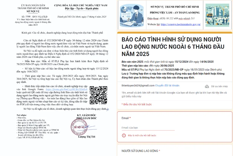 Chi tiết Báo cáo tình hình sử dụng lao động nước ngoài 6 tháng đầu năm 2025