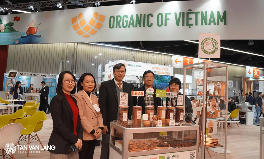 Visa hội chợ Nga: Thủ tục, chi phí và những lưu ý quan trọng