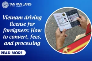 Vietnam driving license for foreigners: How to convert, fees, and processing time