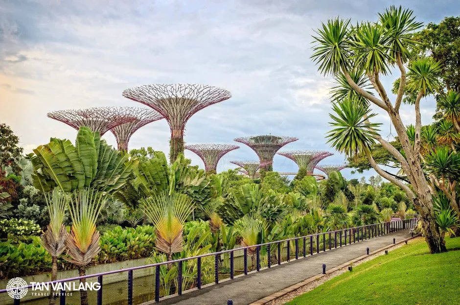 Visa quá cảnh/transit Đức: Hồ sơ, chi phí và lưu ý quan trọng