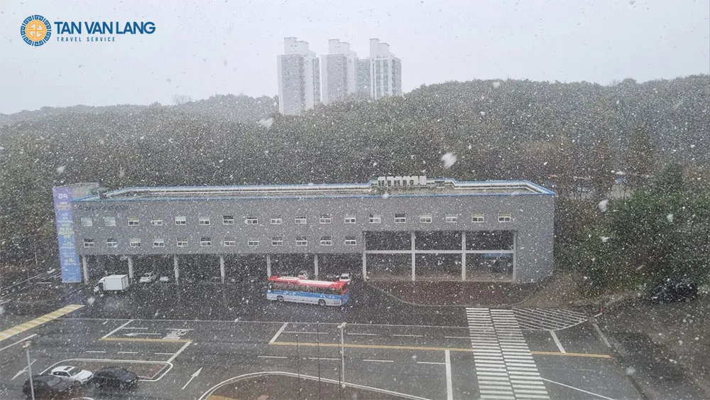 Đại học Chungwoon Hàn Quốc 청운대학교 – Trường đào tạo Nghệ thuật & Truyền thông hàng đầu cho du học sinh Việt Nam