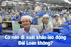 Có nên đi xuất khẩu lao động Đài Loan không? Phân tích ưu – nhược điểm chi tiết