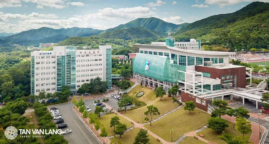 Đại học Daegu Haany: Ngôi trường đào tạo Đông y hàng đầu xứ kim chi