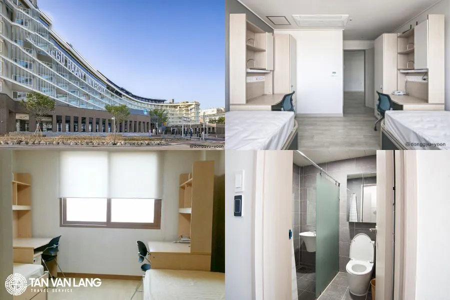 Đại học Daegu Haany: Ngôi trường đào tạo Đông y hàng đầu xứ kim chi