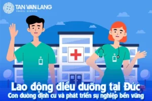 Lao động điều dưỡng viên tại Đức – Con đường định cư và phát triển sự nghiệp bền vững